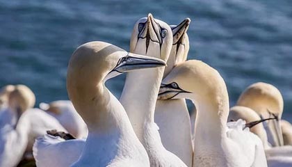 黎真主党称袭击一架正撤离士兵的以军机，现场升起黑烟