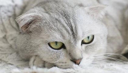 重庆妹子鼓励大家来湖南就业：不要局限自己，走出去才能找到合适的路